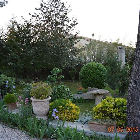 Villa La Bambouseraie à Saint-Rémy-de-Provence Extérieur photo